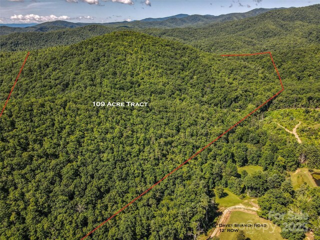 999 Davey Branch Rd, Horse Shoe, NC 28742