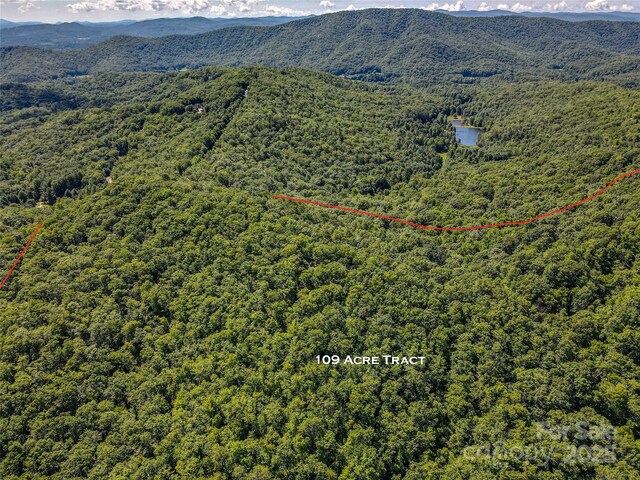 999 Davey Branch Rd, Horse Shoe, NC 28742