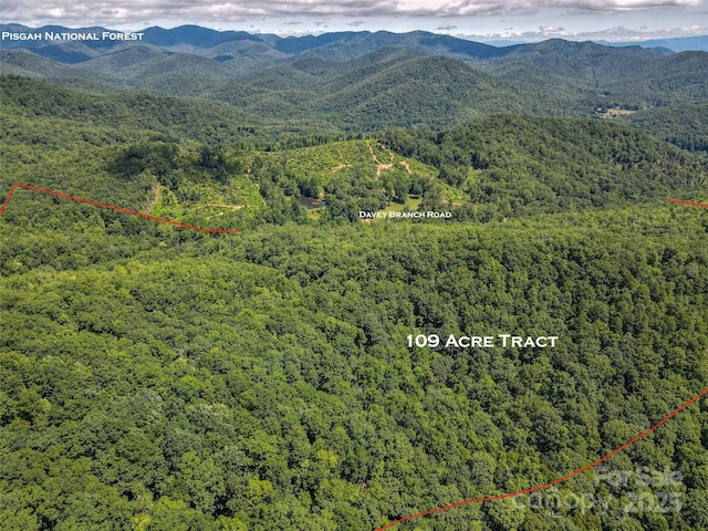 999 Davey Branch Rd, Horse Shoe, NC 28742