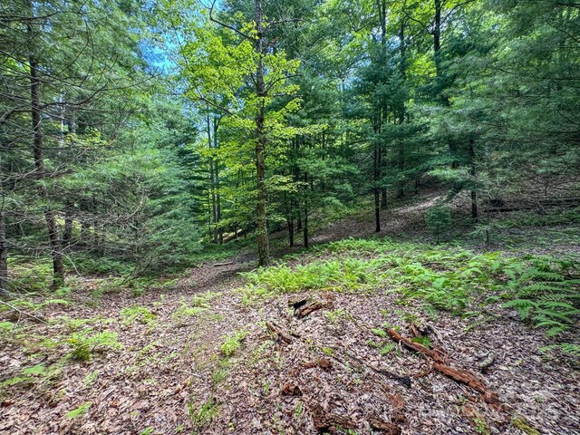 999 Davey Branch Rd, Horse Shoe, NC 28742