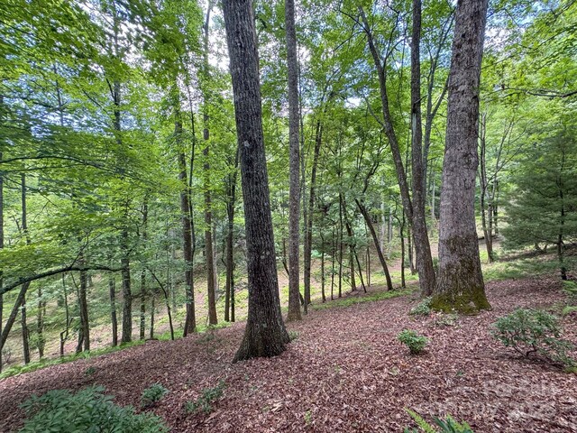 999 Davey Branch Rd, Horse Shoe, NC 28742