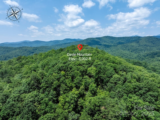 999 Davey Branch Rd, Horse Shoe, NC 28742