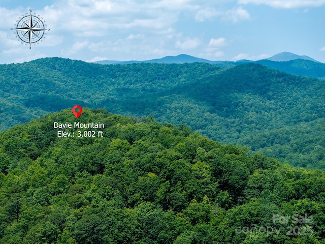 999 Davey Branch Rd, Horse Shoe, NC 28742