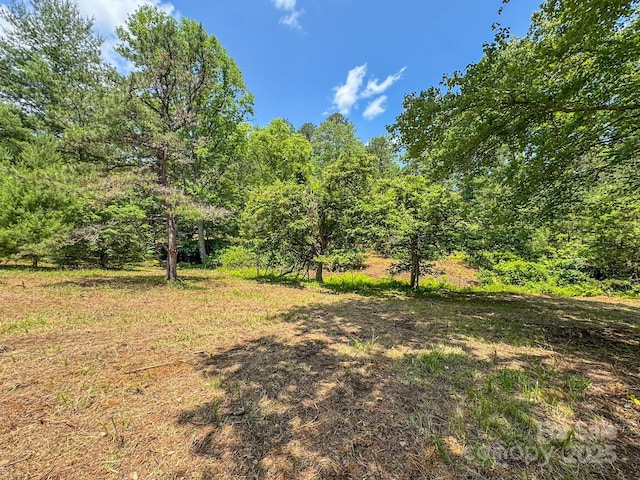 999 Davey Branch Rd, Horse Shoe, NC 28742