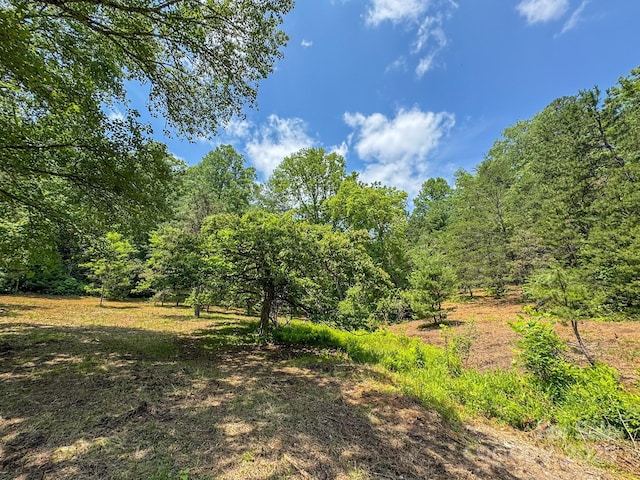 999 Davey Branch Rd, Horse Shoe, NC 28742