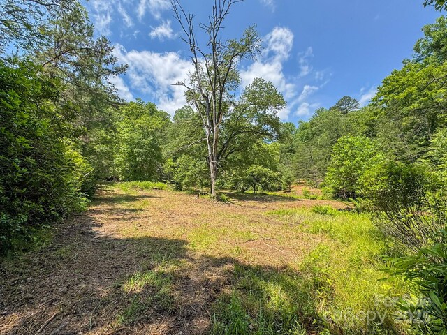 999 Davey Branch Rd, Horse Shoe, NC 28742