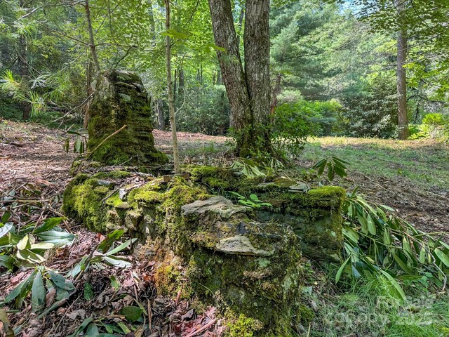 999 Davey Branch Rd, Horse Shoe, NC 28742