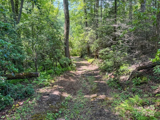 999 Davey Branch Rd, Horse Shoe, NC 28742