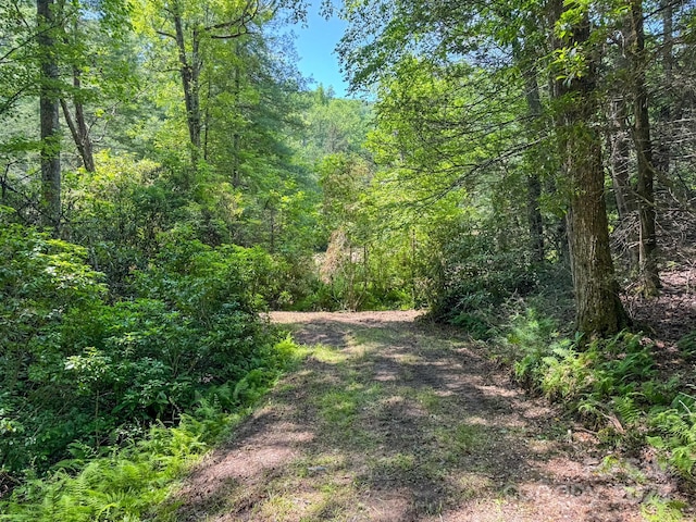 999 Davey Branch Rd, Horse Shoe, NC 28742