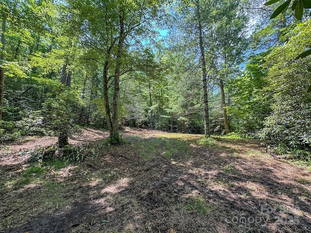 999 Davey Branch Rd, Horse Shoe, NC 28742