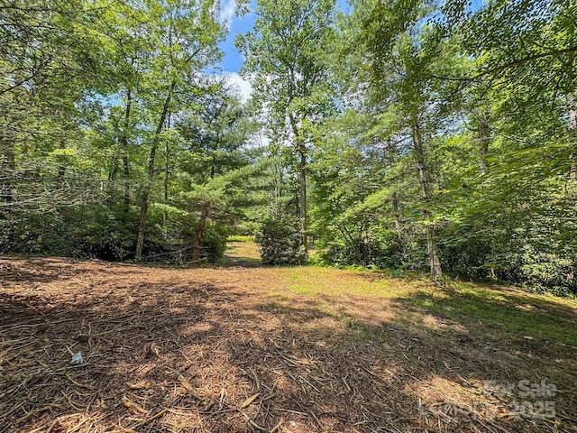 999 Davey Branch Rd, Horse Shoe, NC 28742