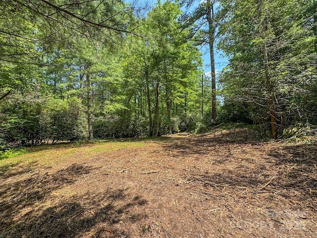 999 Davey Branch Rd, Horse Shoe, NC 28742