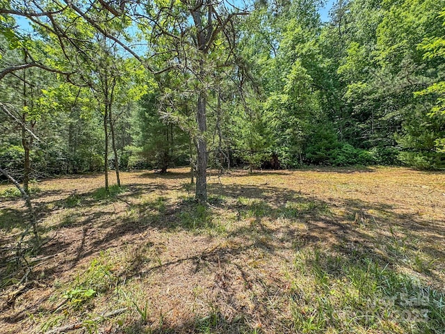 999 Davey Branch Rd, Horse Shoe, NC 28742