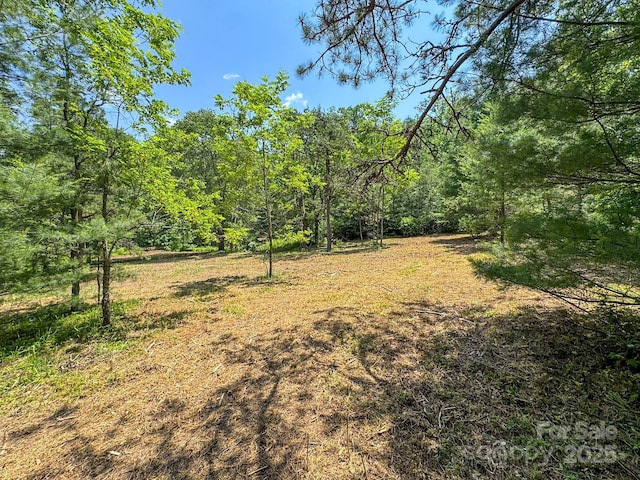 999 Davey Branch Rd, Horse Shoe, NC 28742