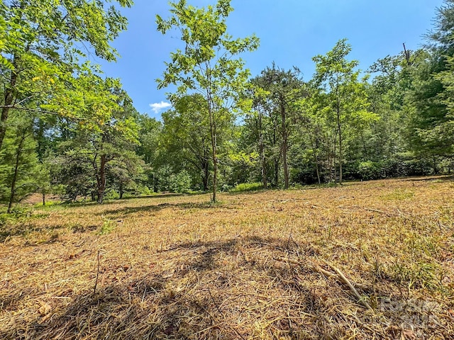 999 Davey Branch Rd, Horse Shoe, NC 28742