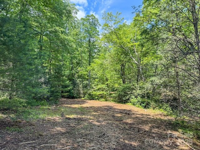 999 Davey Branch Rd, Horse Shoe, NC 28742