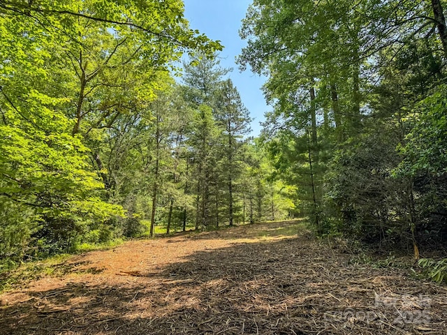 999 Davey Branch Rd, Horse Shoe, NC 28742