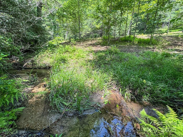 999 Davey Branch Rd, Horse Shoe, NC 28742