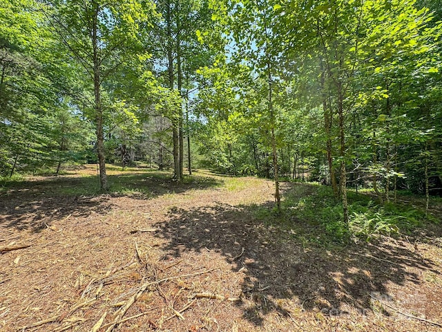 999 Davey Branch Rd, Horse Shoe, NC 28742