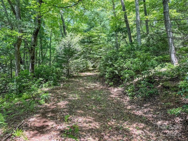 999 Davey Branch Rd, Horse Shoe, NC 28742