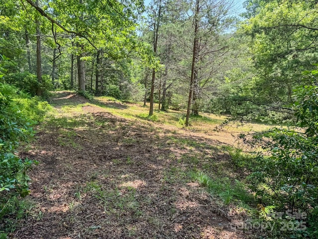 999 Davey Branch Rd, Horse Shoe, NC 28742
