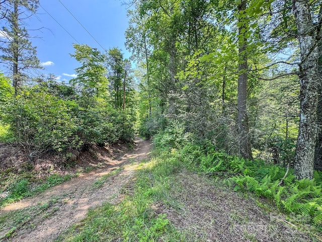 999 Davey Branch Rd, Horse Shoe, NC 28742