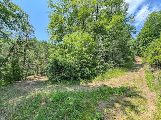 999 Davey Branch Rd, Horse Shoe, NC 28742