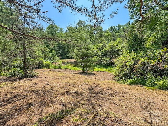 999 Davey Branch Rd, Horse Shoe, NC 28742