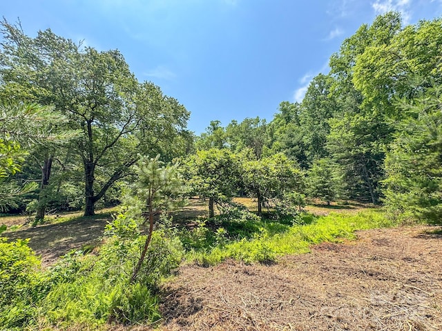 999 Davey Branch Rd, Horse Shoe, NC 28742