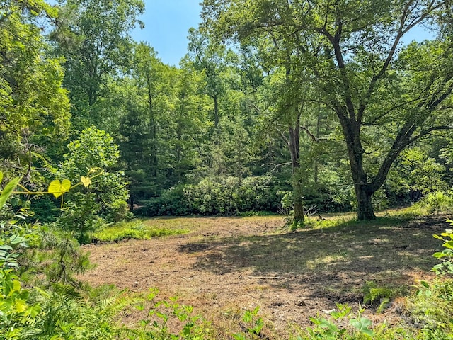999 Davey Branch Rd, Horse Shoe, NC 28742