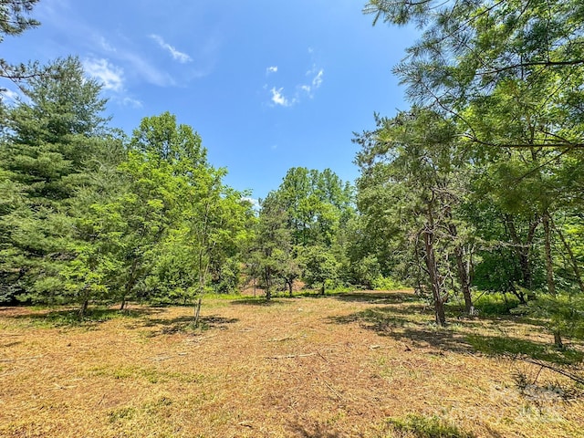 999 Davey Branch Rd, Horse Shoe, NC 28742