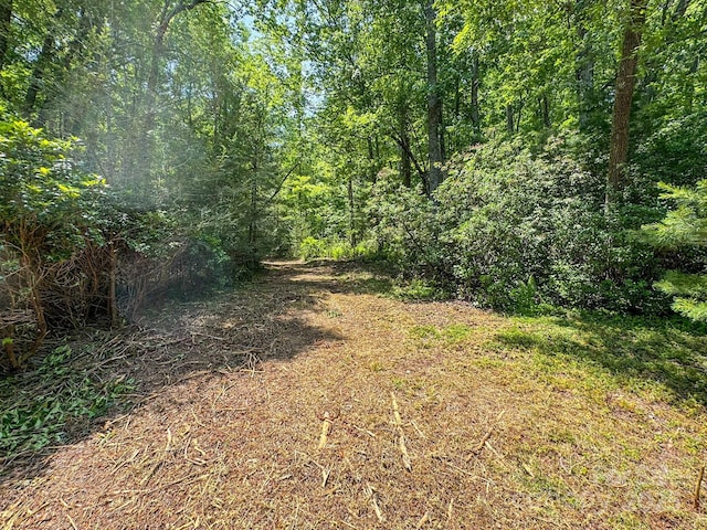 999 Davey Branch Rd, Horse Shoe, NC 28742