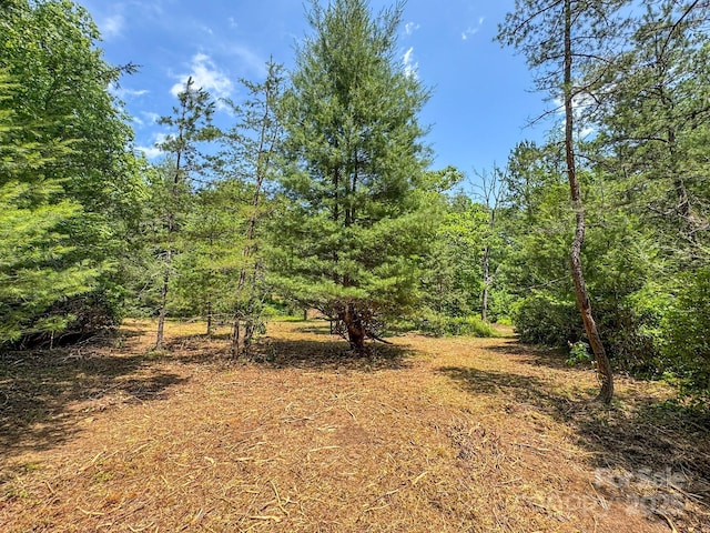 999 Davey Branch Rd, Horse Shoe, NC 28742