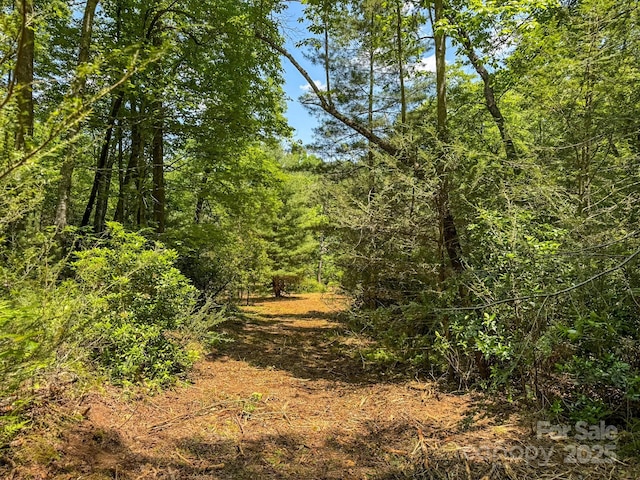 999 Davey Branch Rd, Horse Shoe, NC 28742