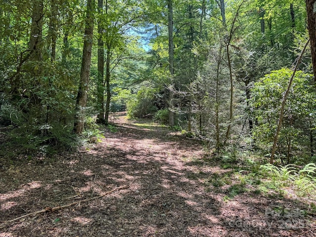 999 Davey Branch Rd, Horse Shoe, NC 28742