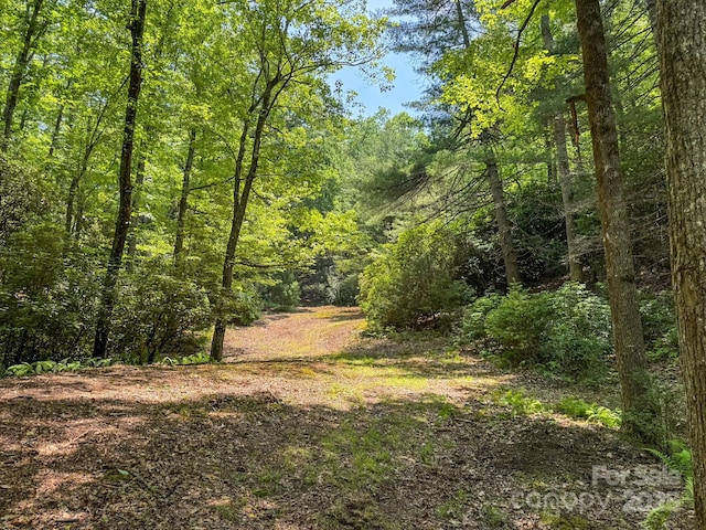 999 Davey Branch Rd, Horse Shoe, NC 28742
