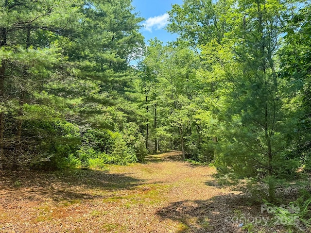 999 Davey Branch Rd, Horse Shoe, NC 28742