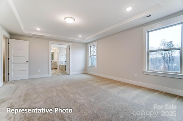 carpeted spare room with ornamental molding and a raised ceiling