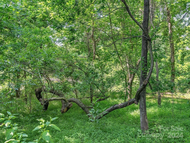 view of landscape