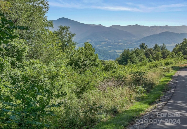 LOT18 Signature Row Blvd Unit 18, Waynesville, NC 28785