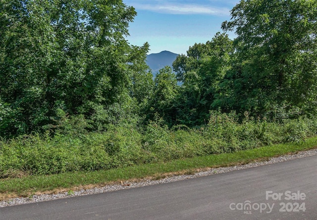 Listing photo 3 for LOT18 Signature Row Blvd Unit 18, Waynesville NC 28785