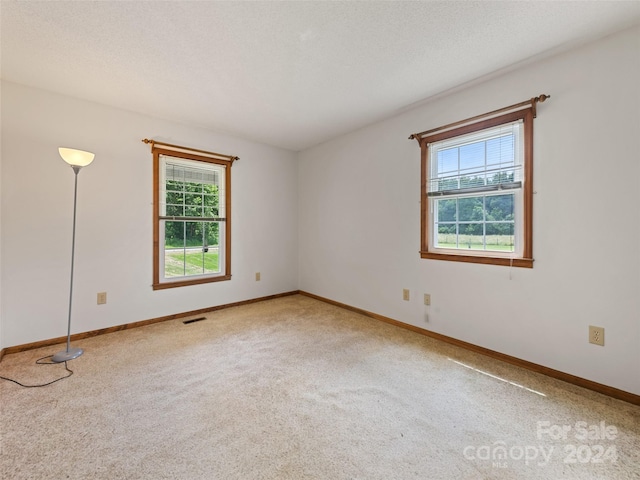 carpeted empty room featuring a wealth of natural light