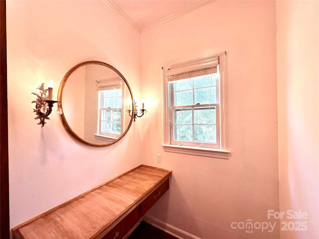 bathroom with ornamental molding