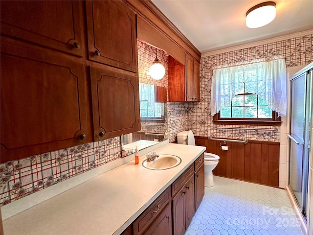 bathroom featuring vanity, a shower with shower door, toilet, and a healthy amount of sunlight