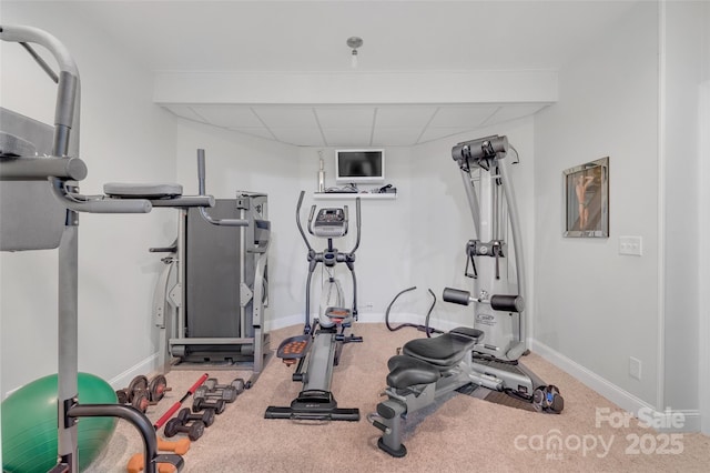 workout room featuring a paneled ceiling and carpet