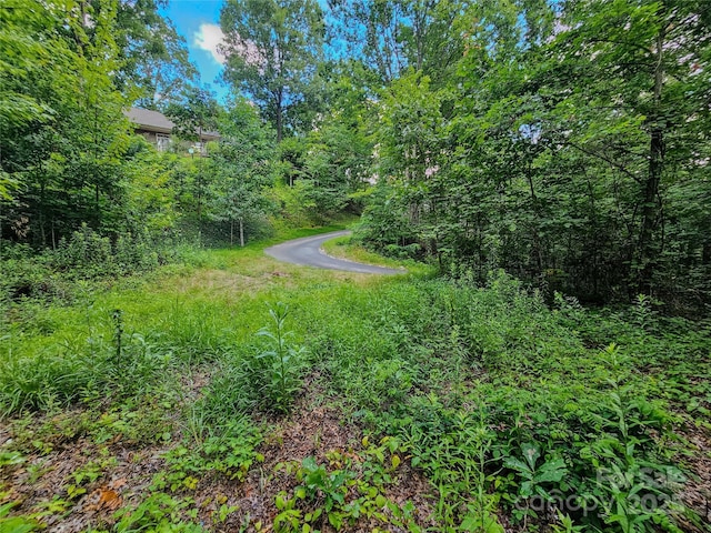 000 Windy Hill Dr Unit 8, Waynesville, NC 28785 - photo 16