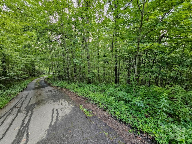 000 Windy Hill Dr Unit 8, Waynesville, NC 28785 - photo 17