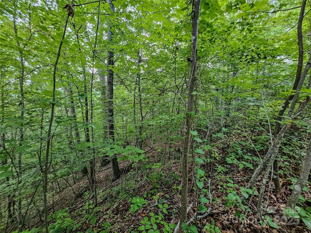 000 Windy Hill Dr Unit 8, Waynesville, NC 28785 - photo 18