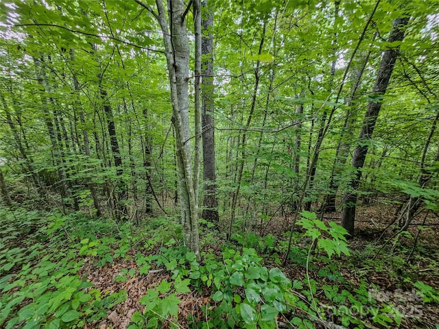 000 Windy Hill Dr Unit 8, Waynesville, NC 28785 - photo 19