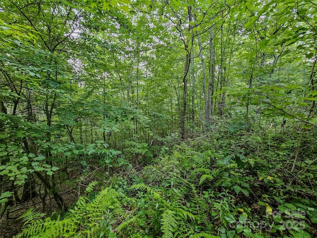 000 Windy Hill Dr Unit 8, Waynesville, NC 28785 - photo 20